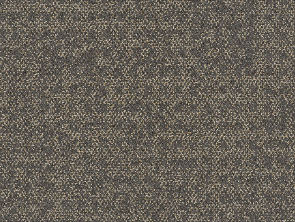 Wheler Street - 105649 Concrete Square